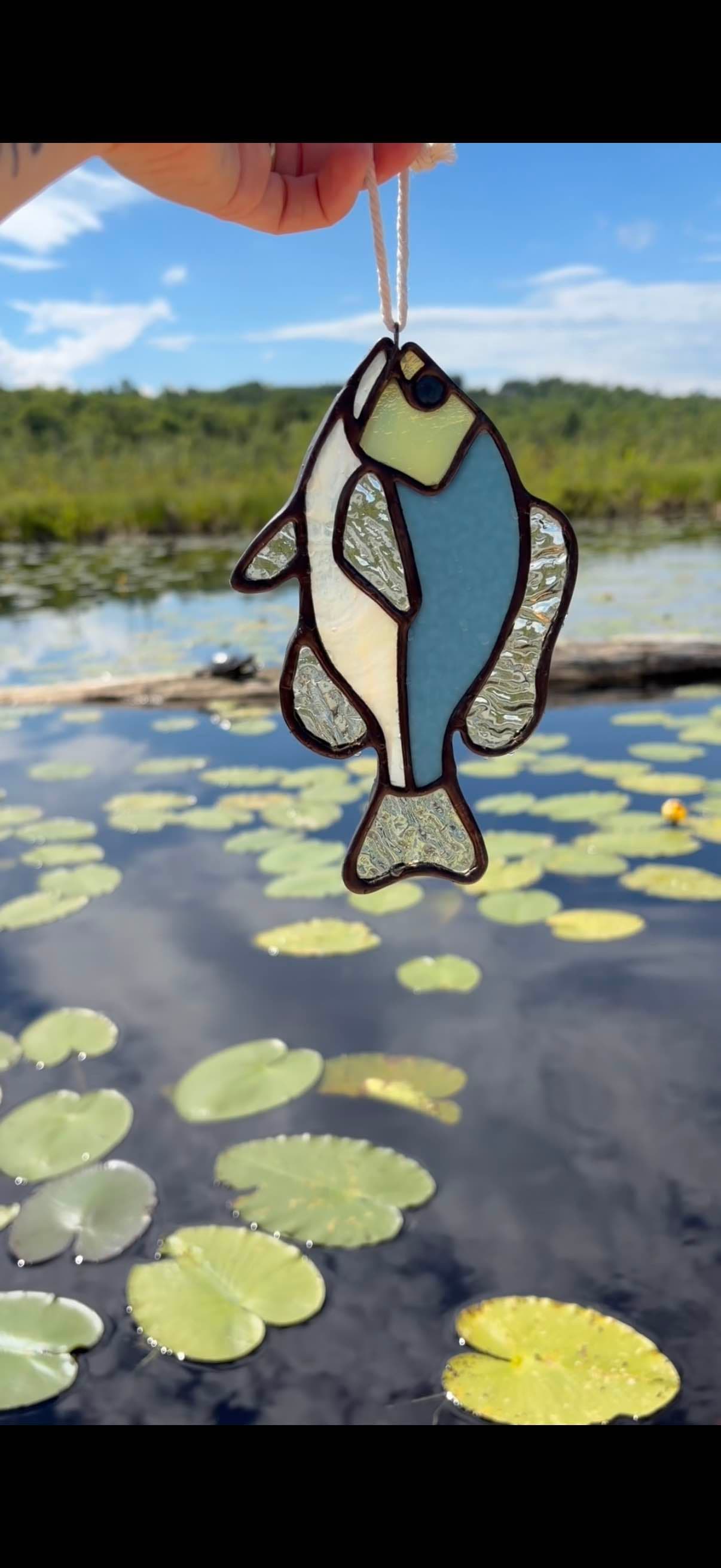 Baby Fish - Sunfish artwork image