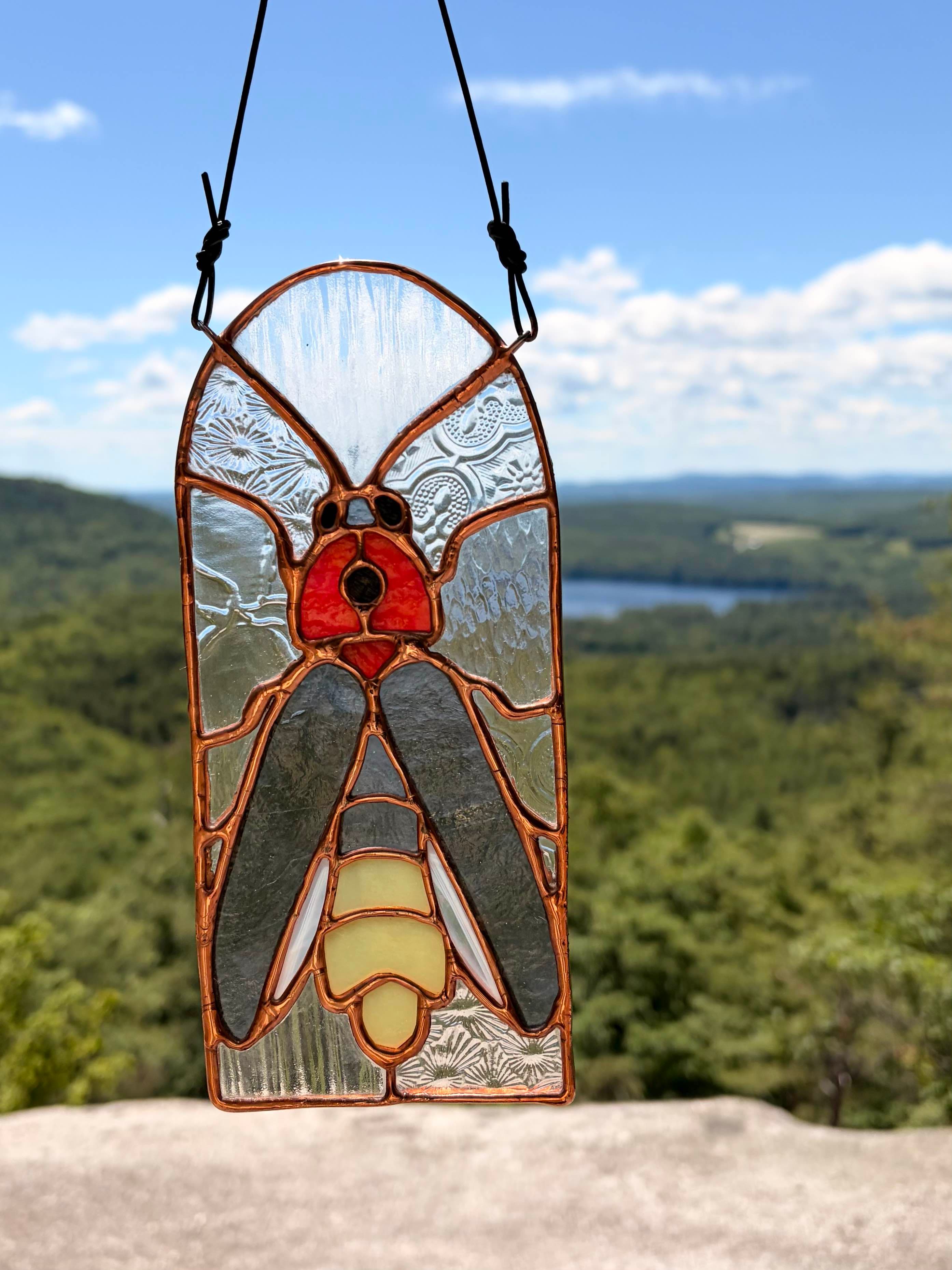 Bug Window - Firefly artwork image