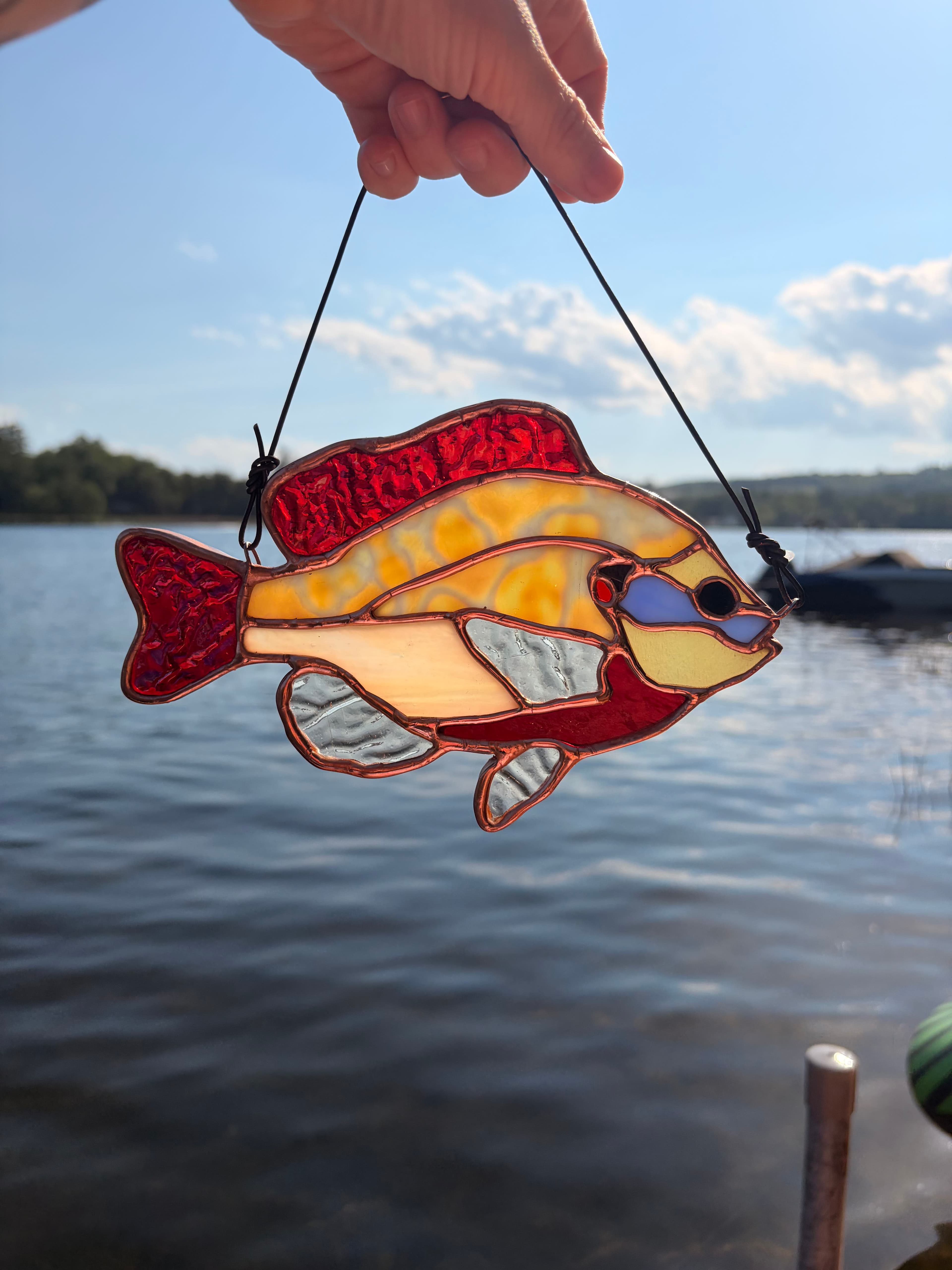 Fish - Sunfish Red Bellied artwork image