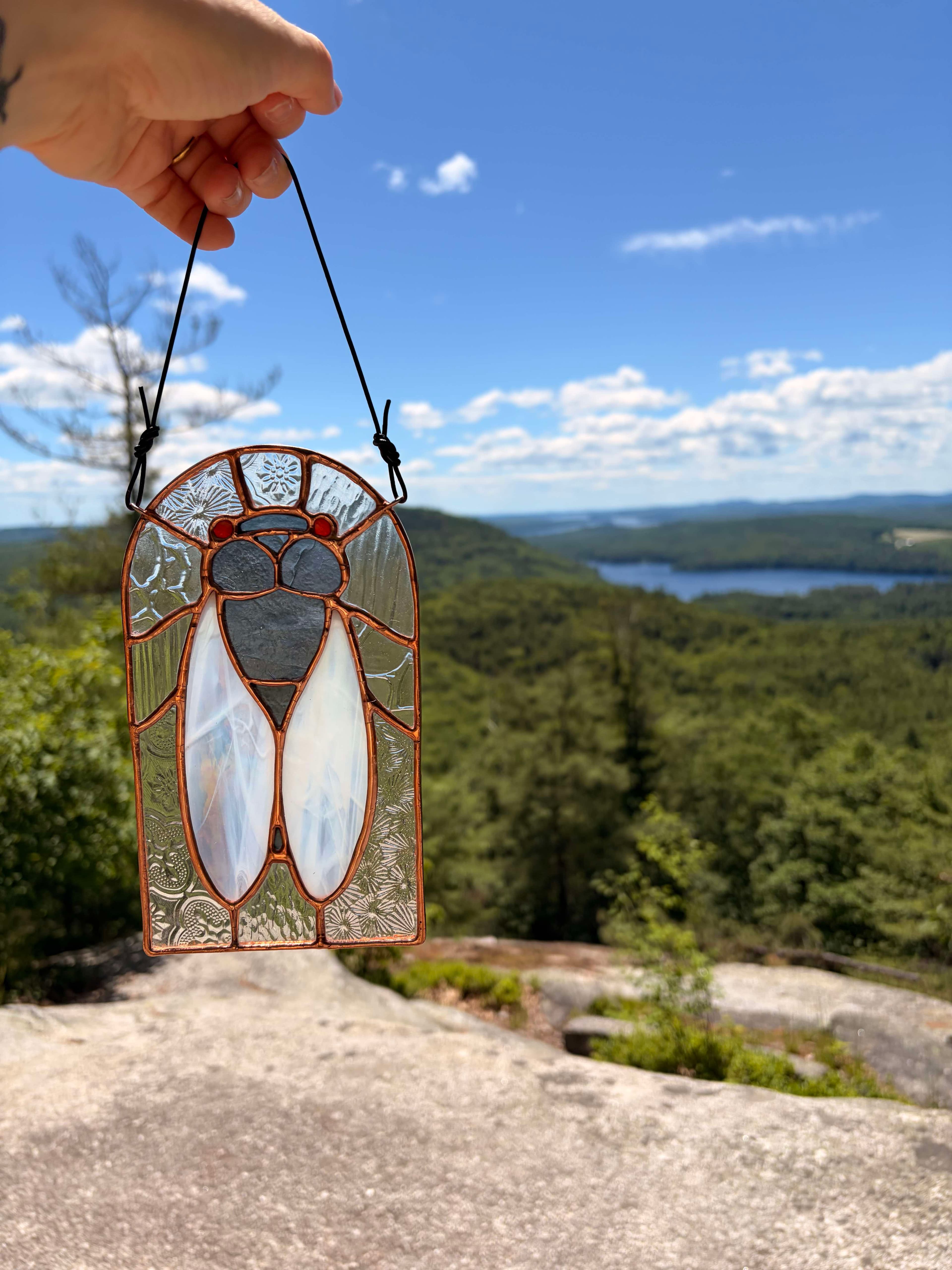 Bug Window - Cicada artwork image
