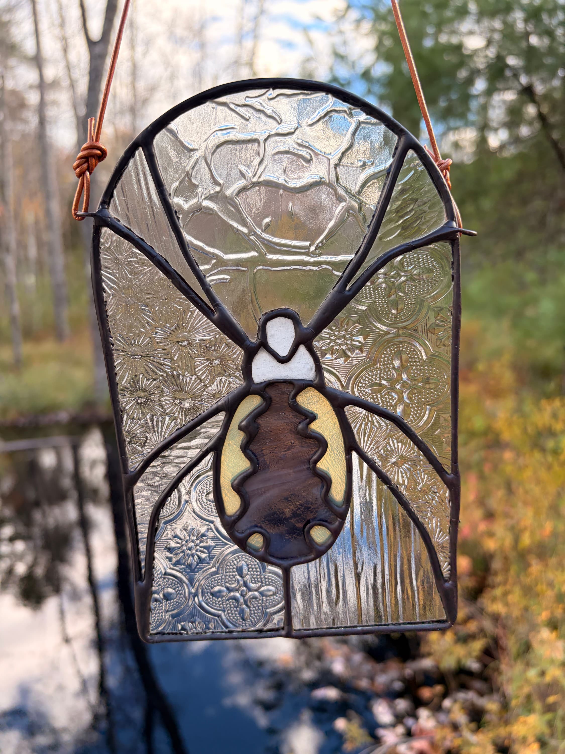 Bug Window - Garden Spider artwork image