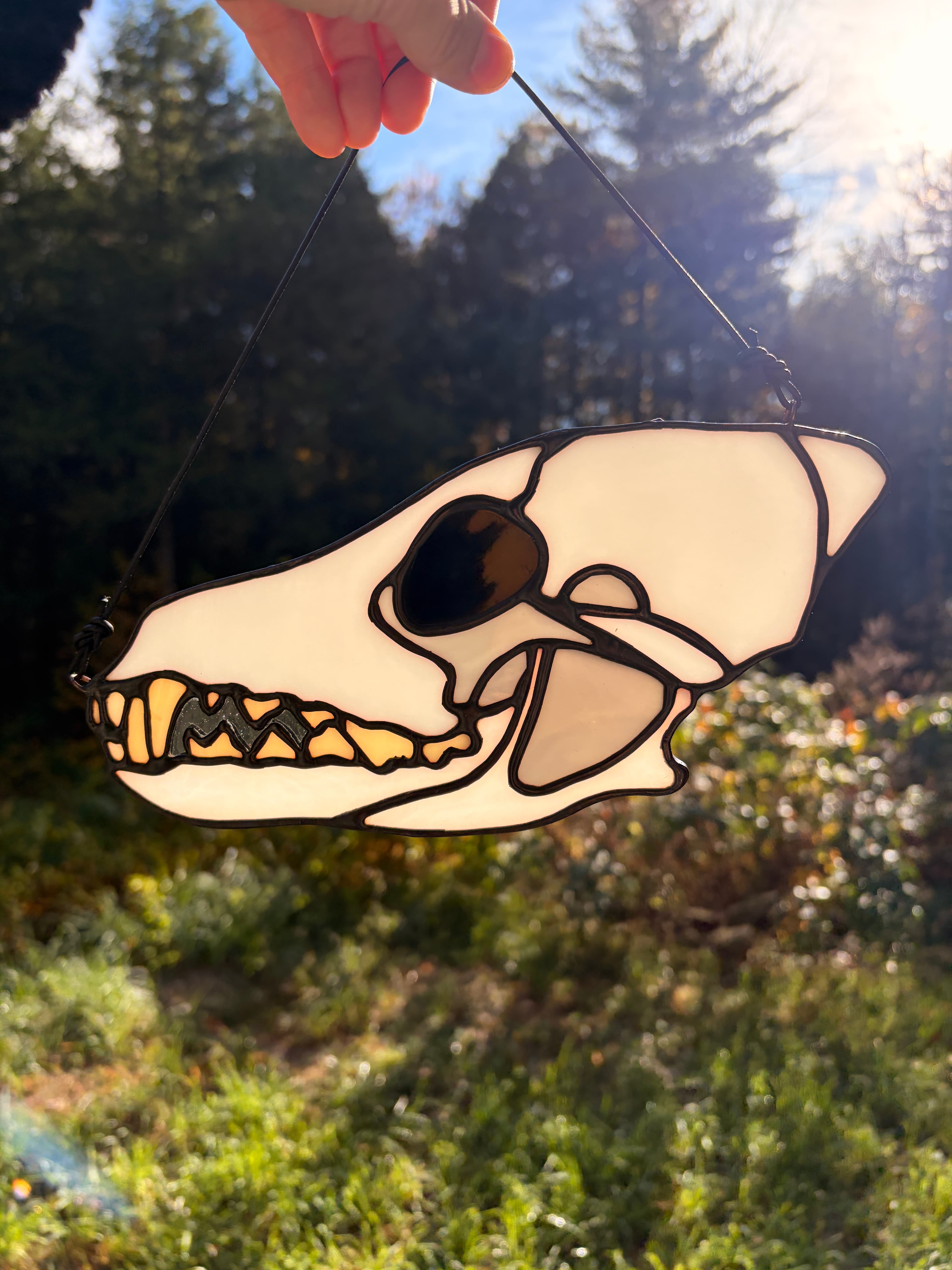 Skull - Coyote artwork image