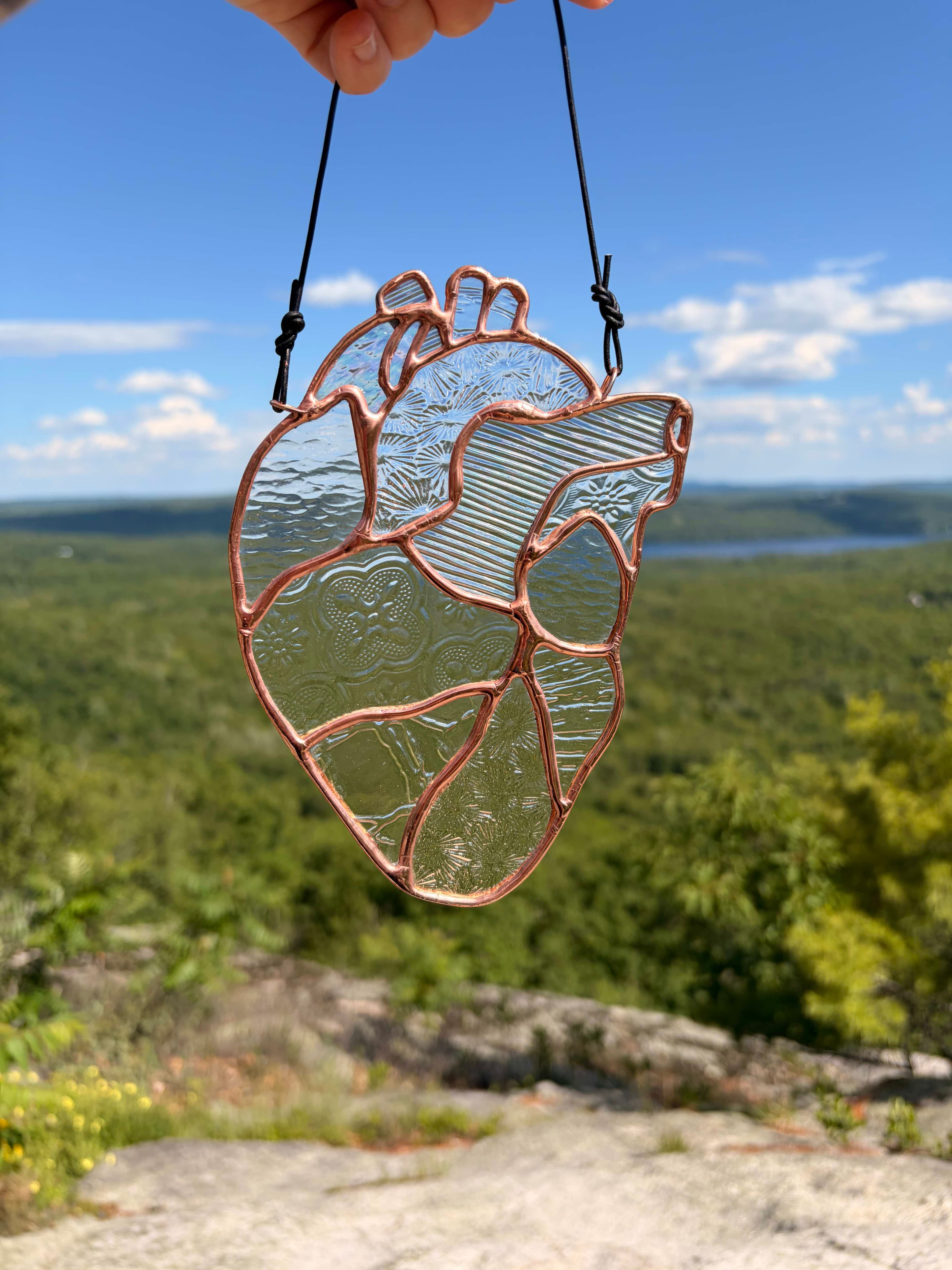 Anatomical - Heart - Clear Textured artwork image