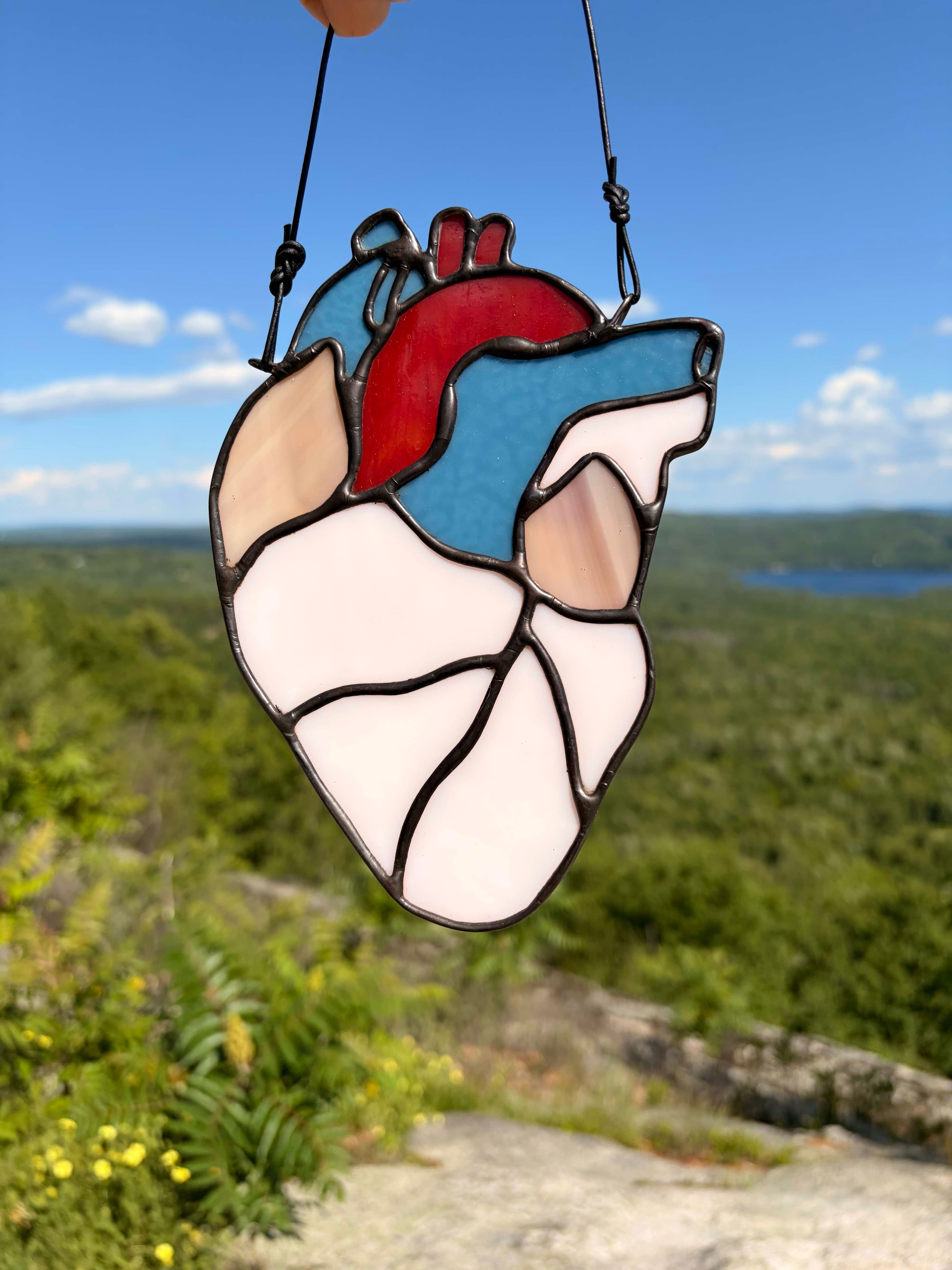 Anatomical - Heart - Multicolor artwork image