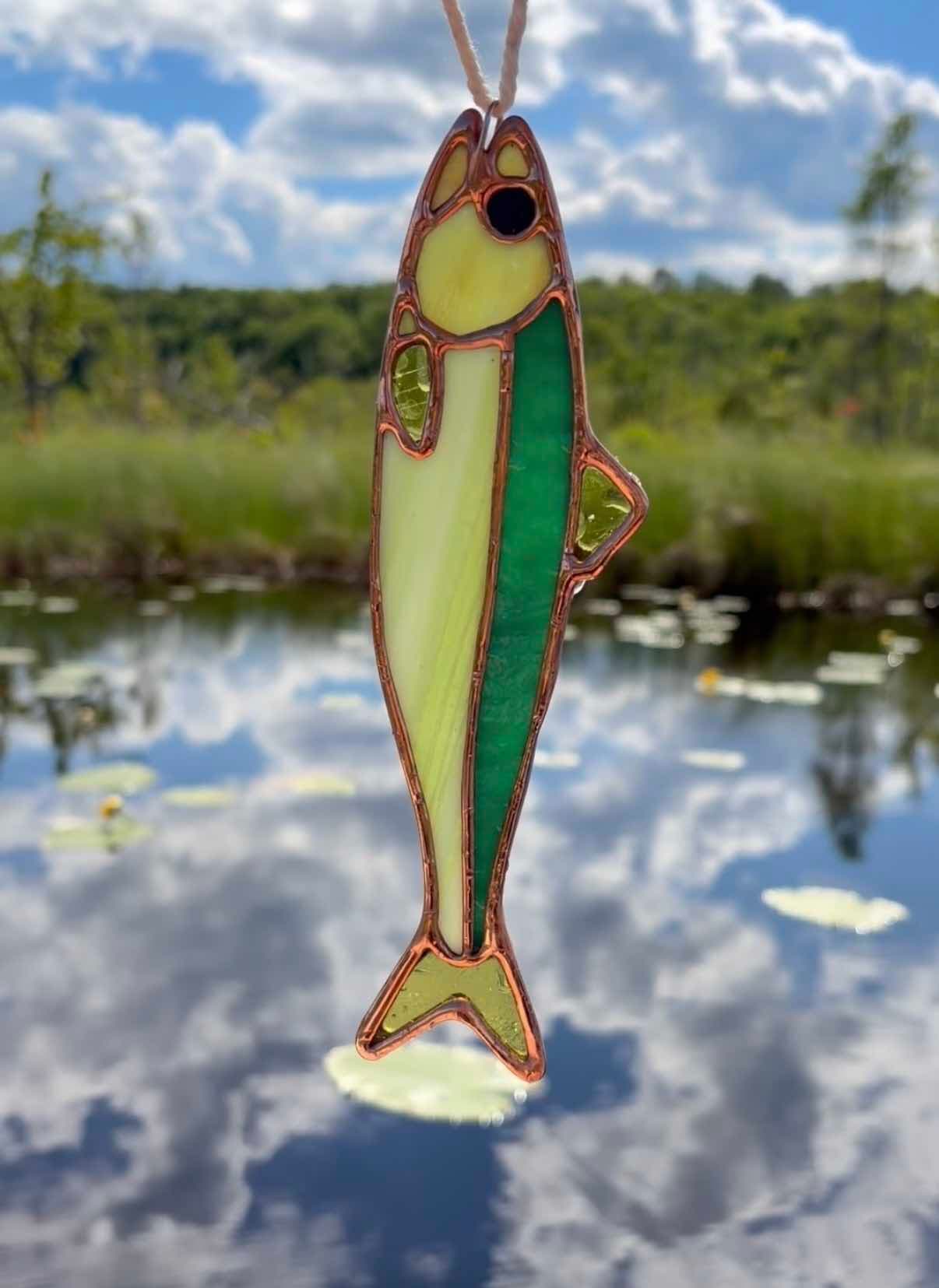 Baby Fish - Bass artwork image