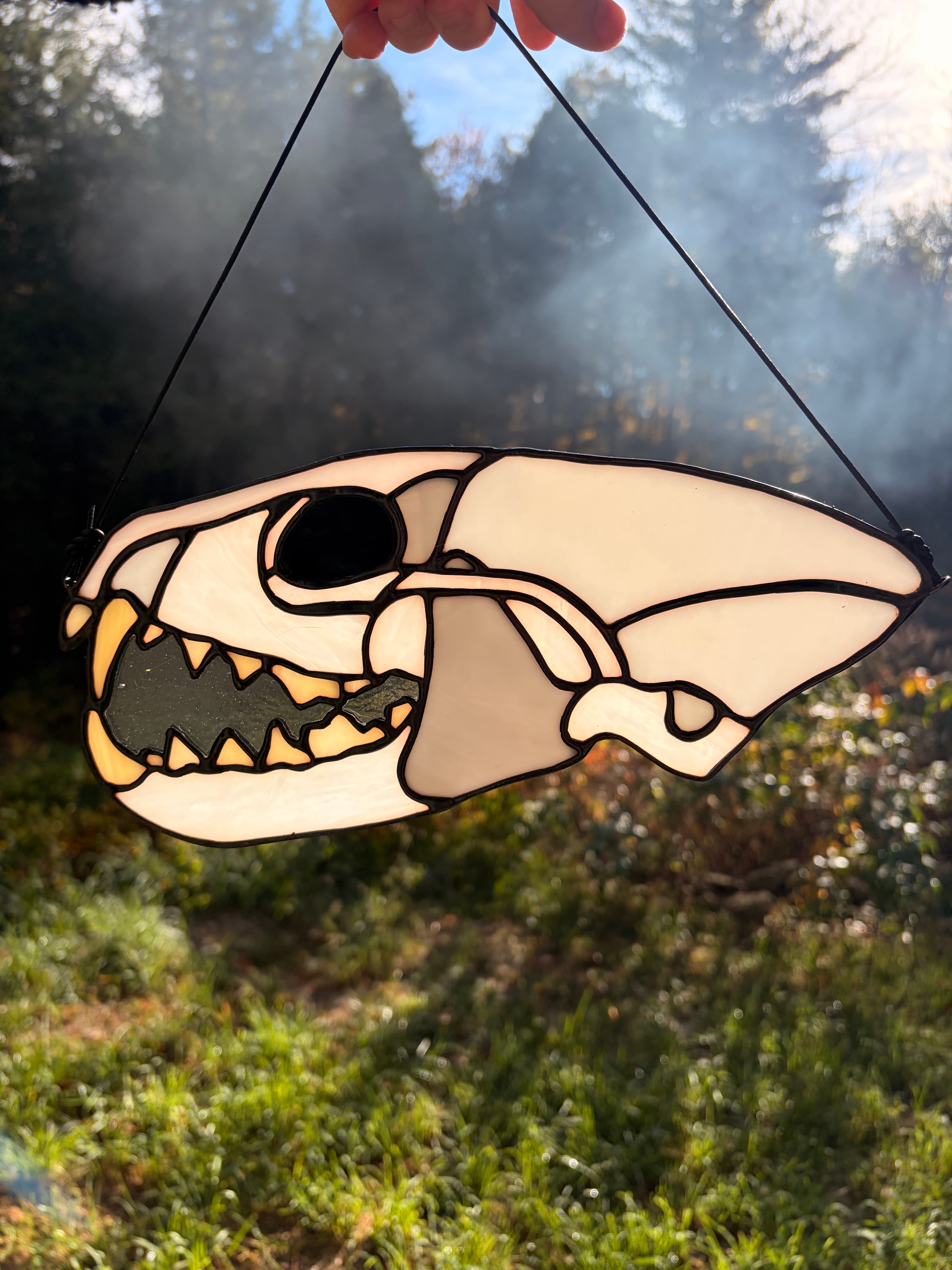 Skull - Black Bear artwork image