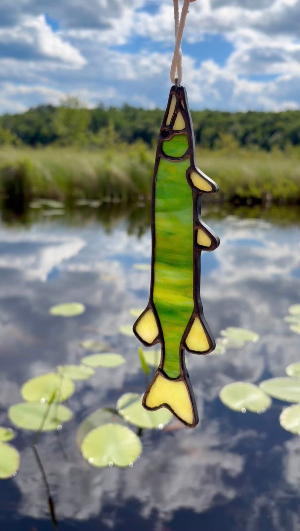 Baby Pickerel